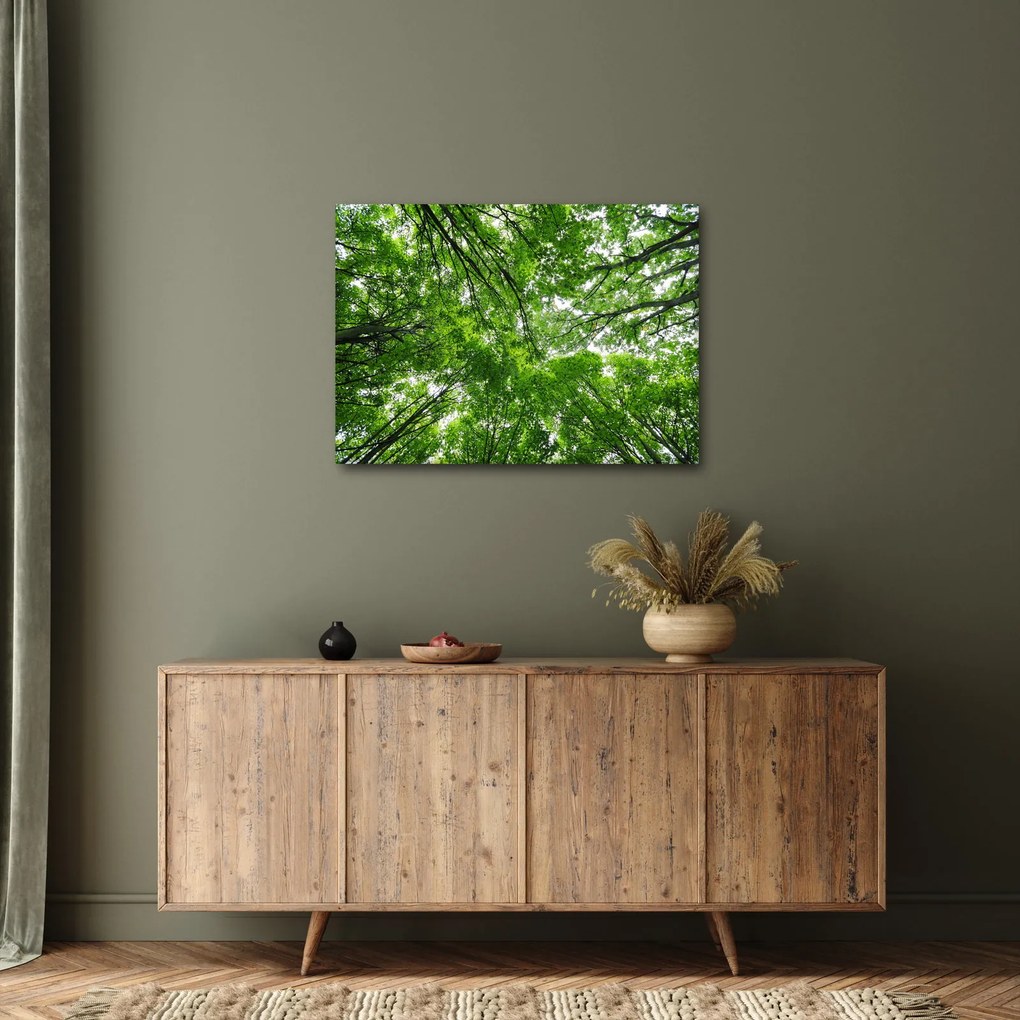 Kép - Kilátás a fák tetejére (70x50 cm)
