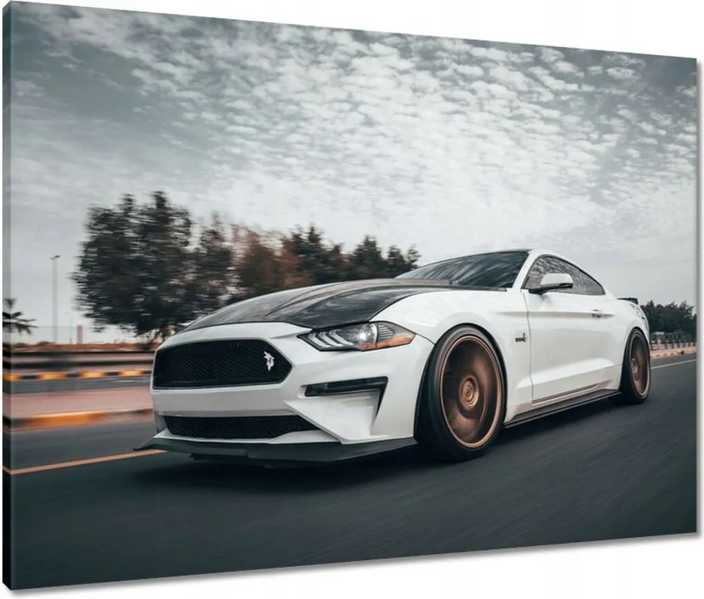 Vászonkép 80x60 Fehér Ford Mustang Auto