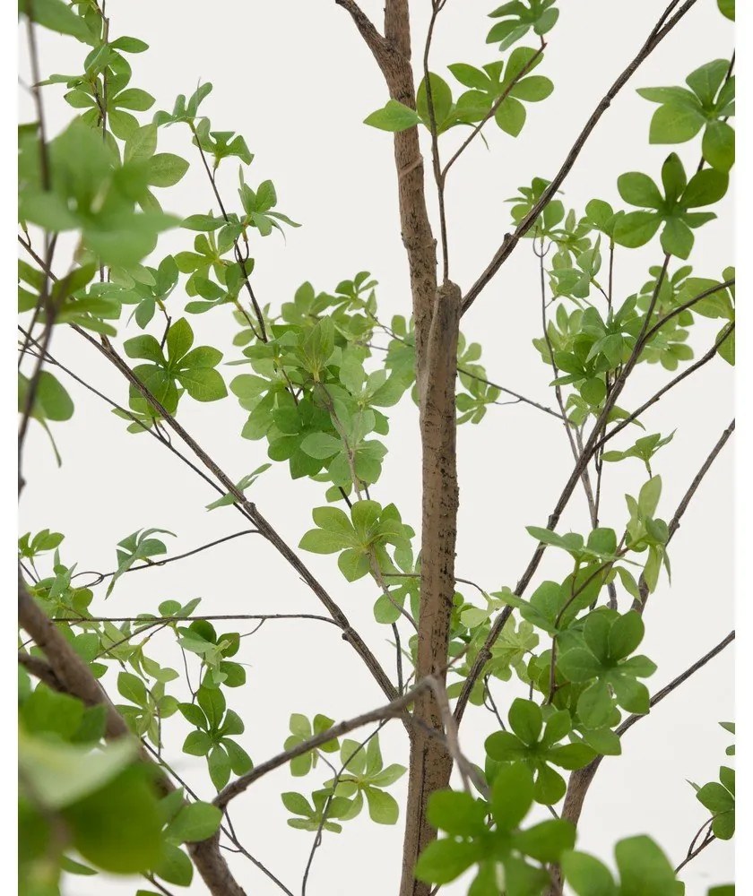 Műnövény (magasság 214 cm) Enkianthus – Kave Home