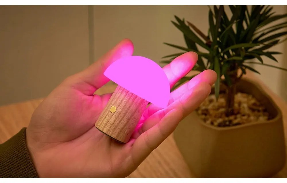 Natúr színű kőrisfa LED dimmelhető asztali lámpa (magasság 7 cm) Alice – Gingko