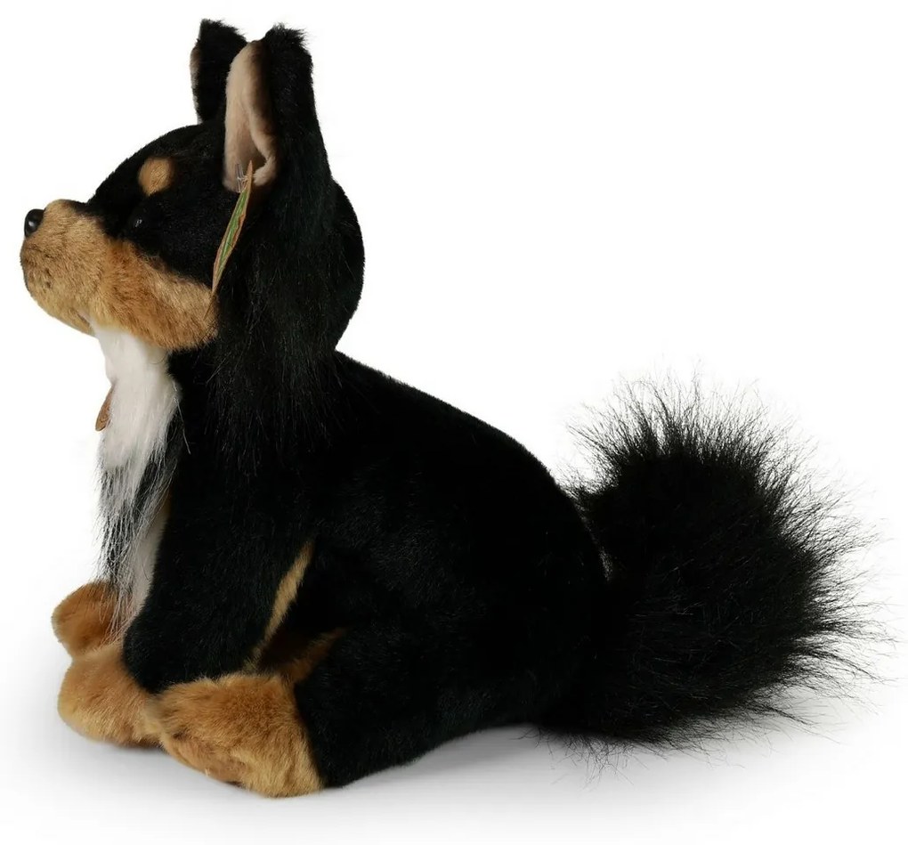 Rappa Plüss kutya Chihuahua ülve, 24 cmECO-FRIENDLY