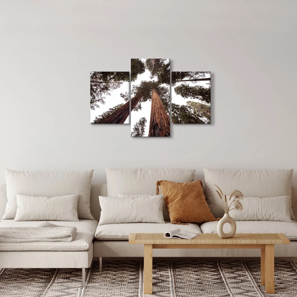 Kép - Kilátás a fák között (90x60 cm)