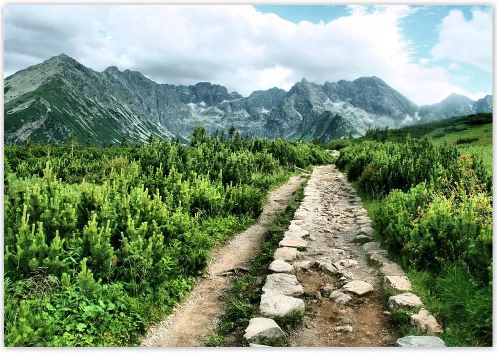 Poszterek 100x70 Kő út Tátra