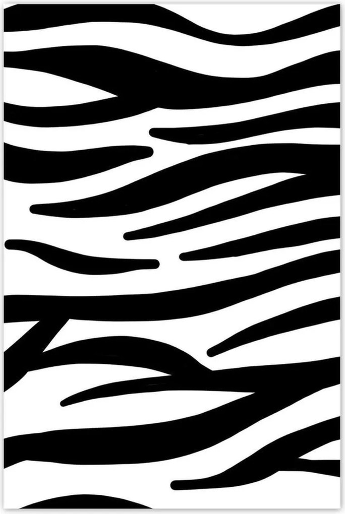 Poszterek 80x120 Zebra csíkos