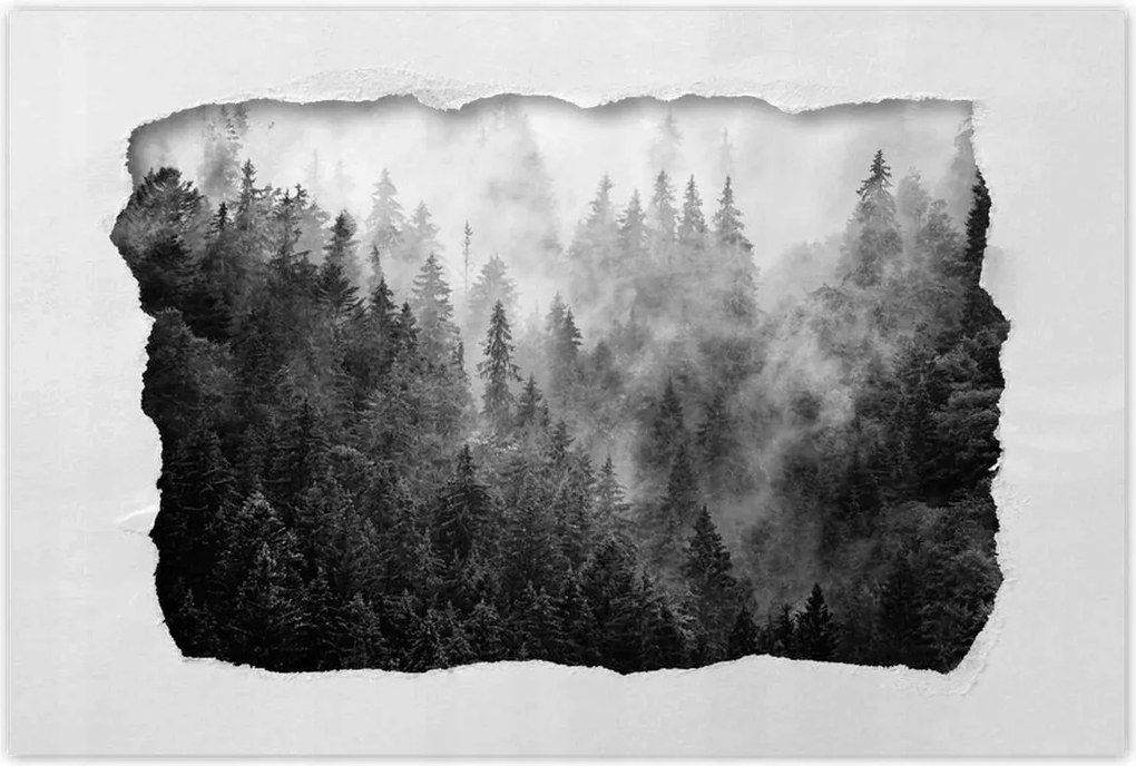 Poszterek 90x60 Tájkép Szürke Hegyek Köd