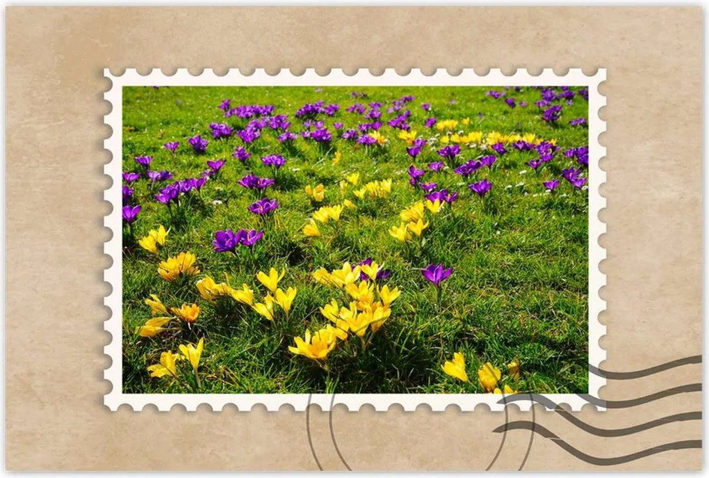 Poszterek 60x40 Krokodilok a réten