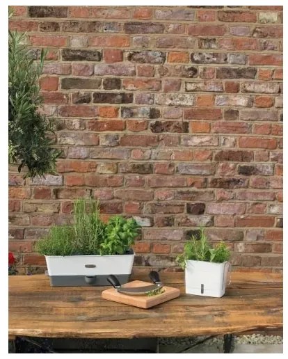 Cole&Mason - Tartály frissen vágott fűszernövények tárolására