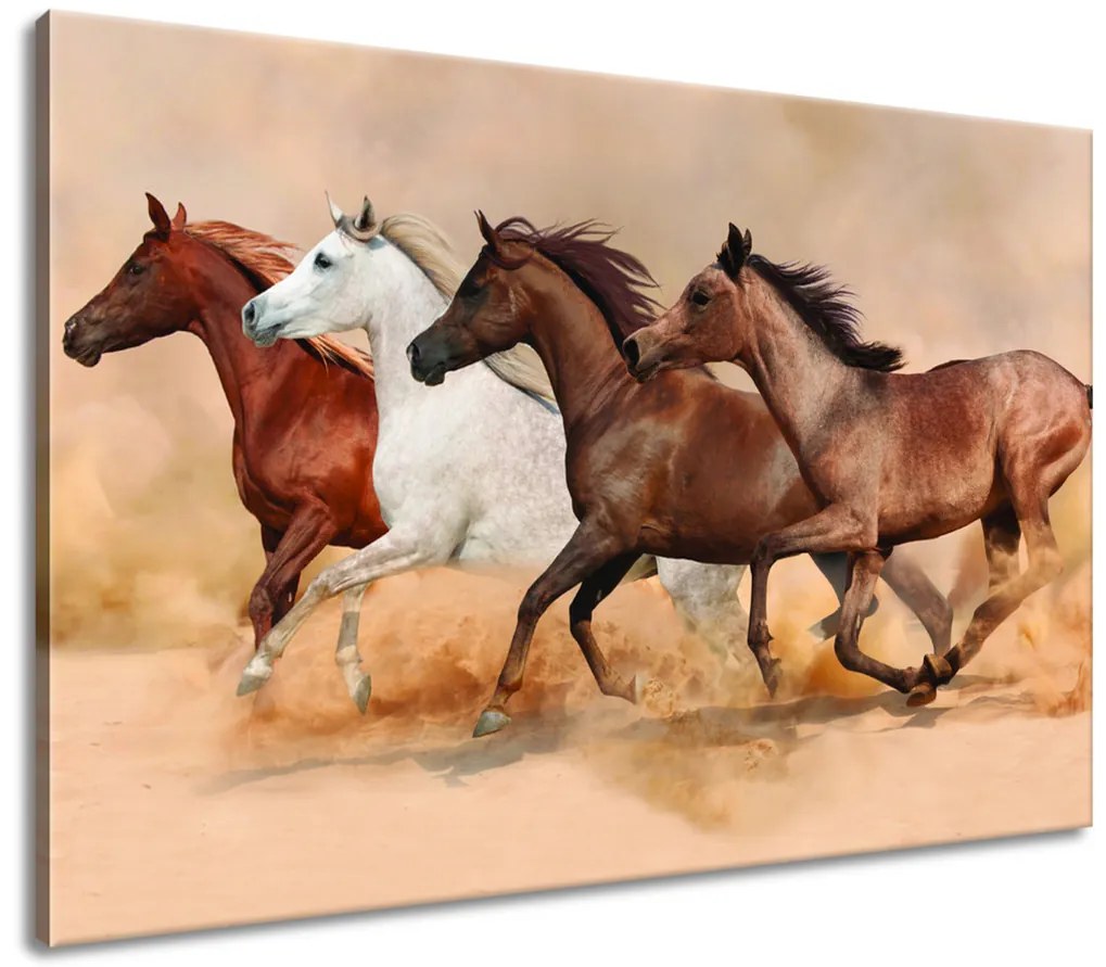 Gario Vászonkép Gyönyöru lovak állománya Méret: 100 x 70 cm