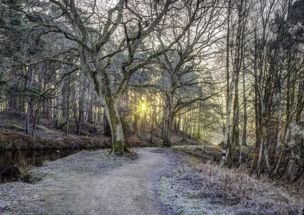 Poszter 59,4x42cm Vidéki csatorna fákkal és ösvényrel, Assaf Frank
