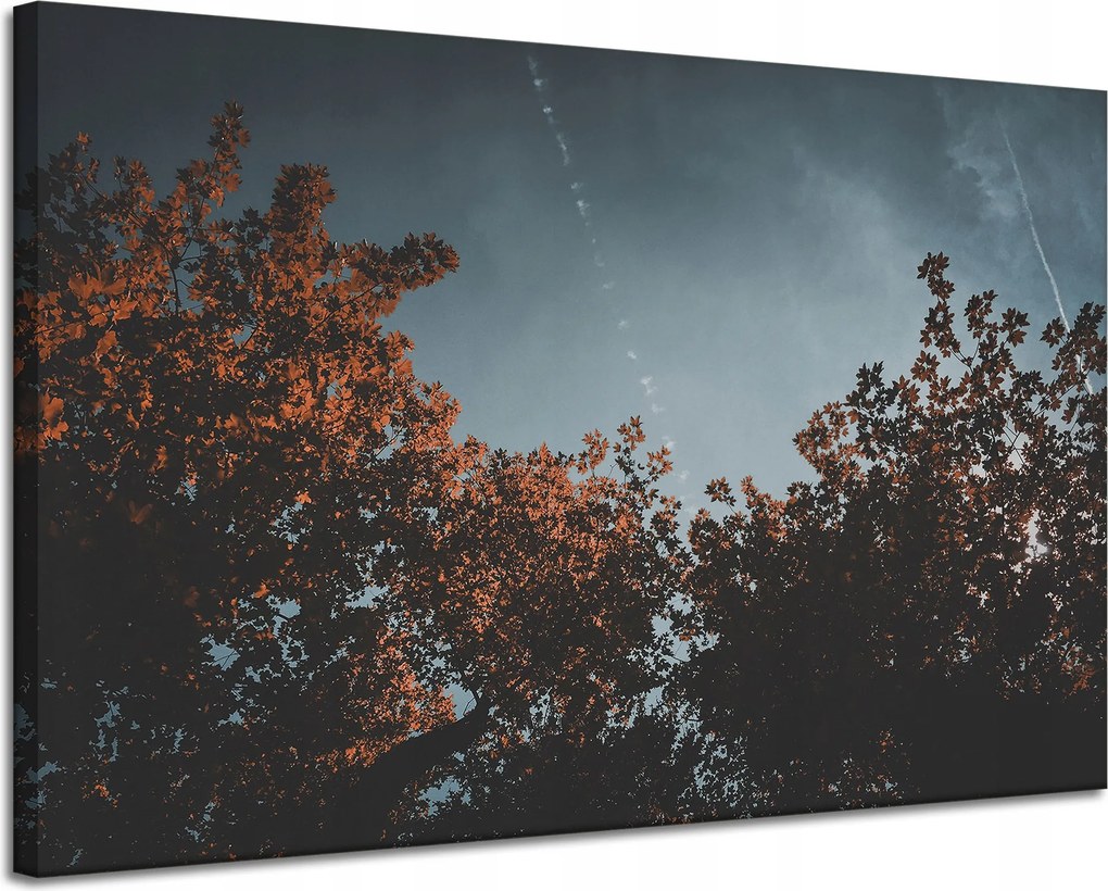 Vászonkép Természet Narancssárga fák 120x80