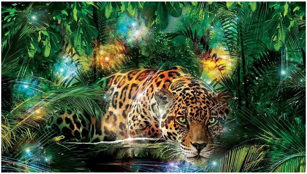 Fotótapéta állatok tigris macska fotótapéta 416 x 254