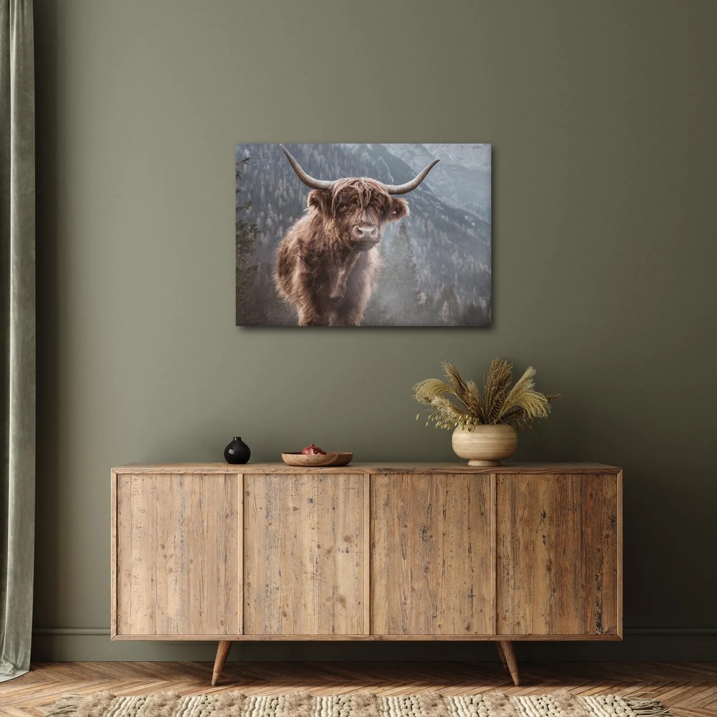 Kép - Highlander tehén (70x50 cm)