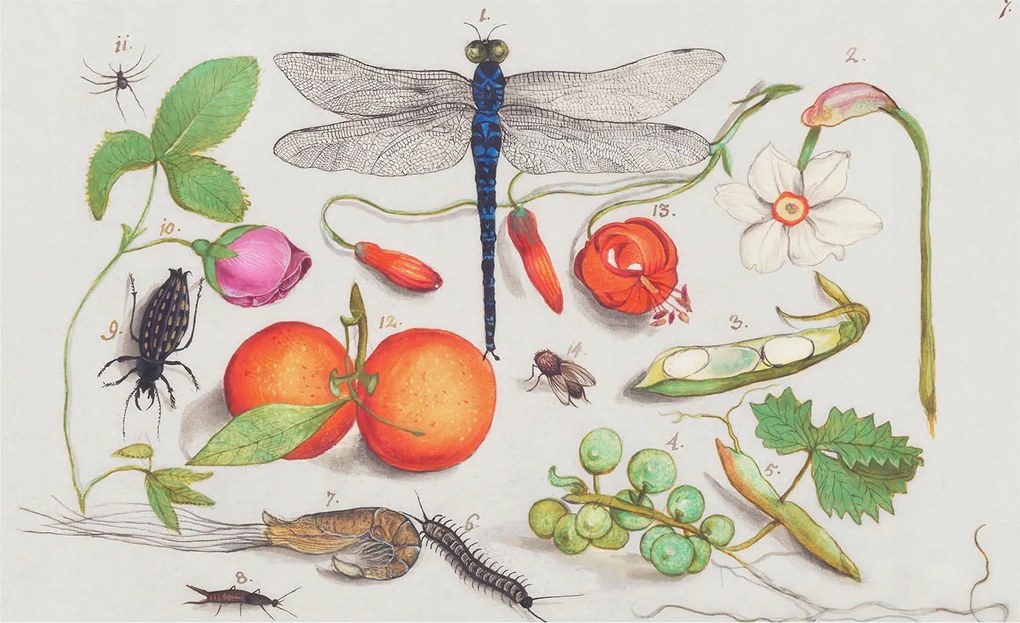 Flizelin tapéta Fali furnér 3D hatás Természeti illusztráció 416x254