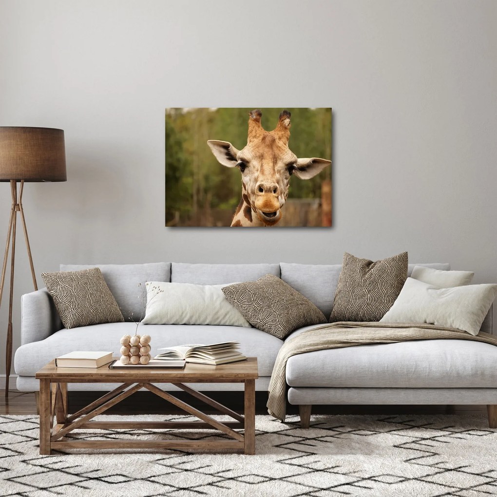 Egy zsiráf képe (70x50 cm)