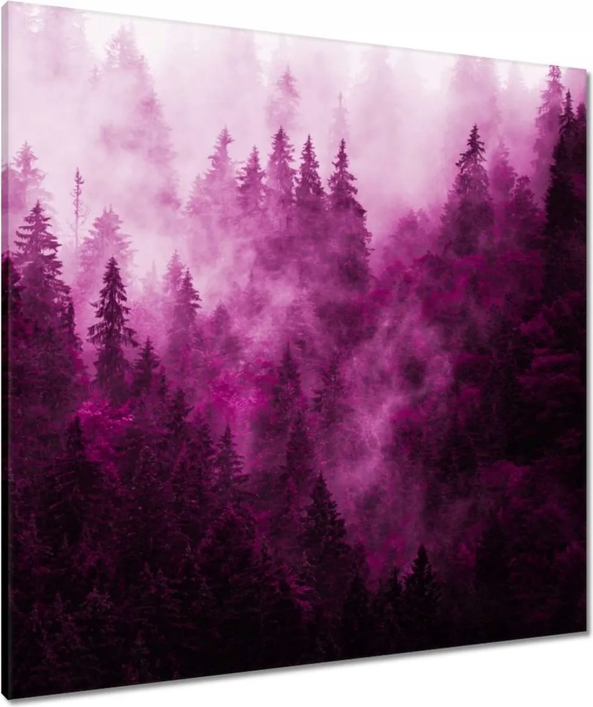 Vászonkép 80x80 Tájkép Rózsa Hegyek Köd