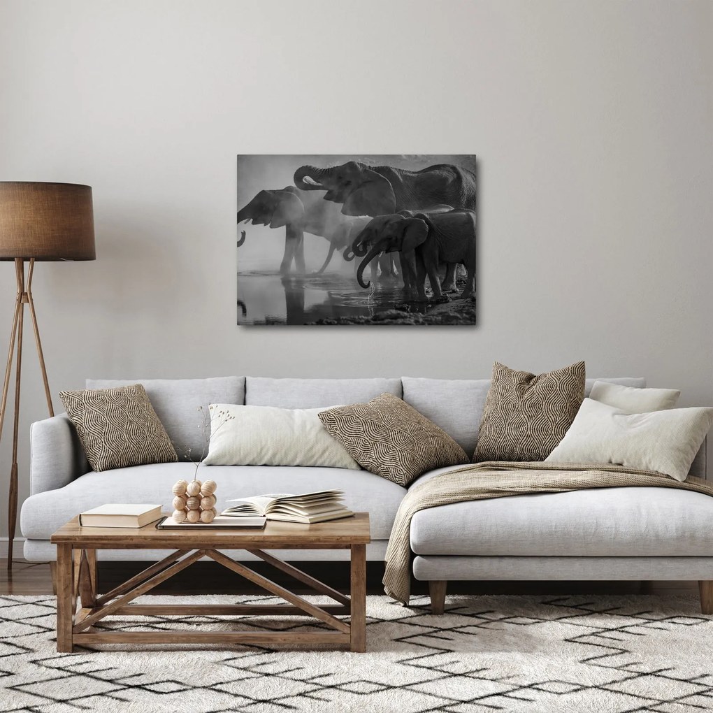 Elefánt képe - fekete fehér (70x50 cm)