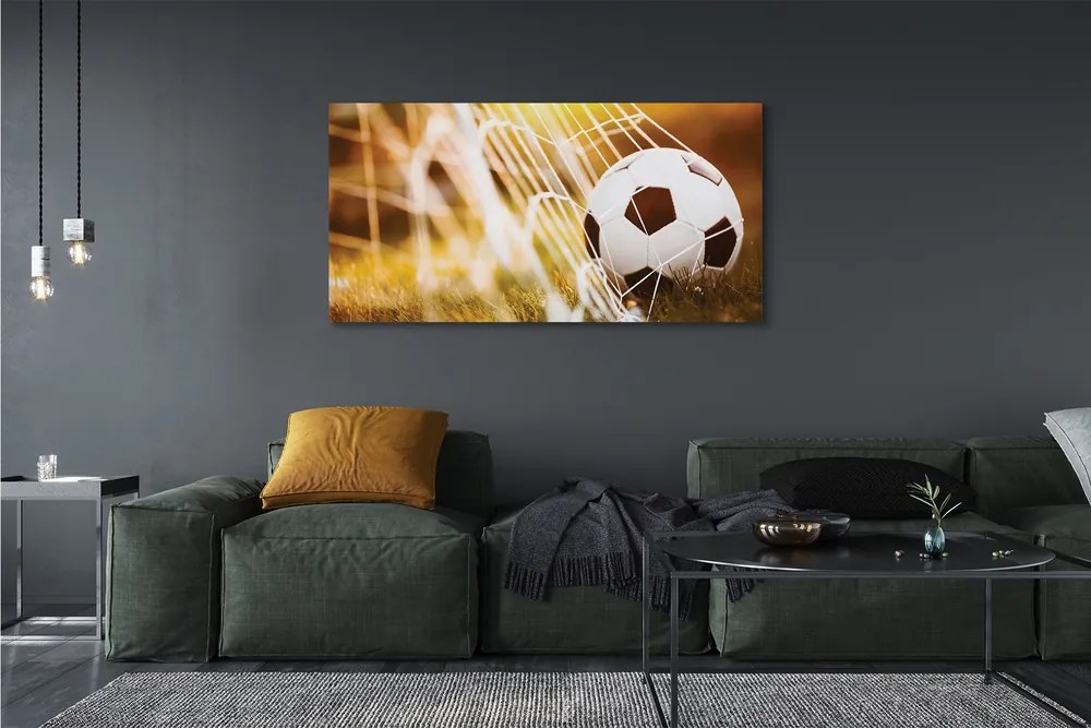 Canvas képek A labda sárga fű háttér 125x50 cm