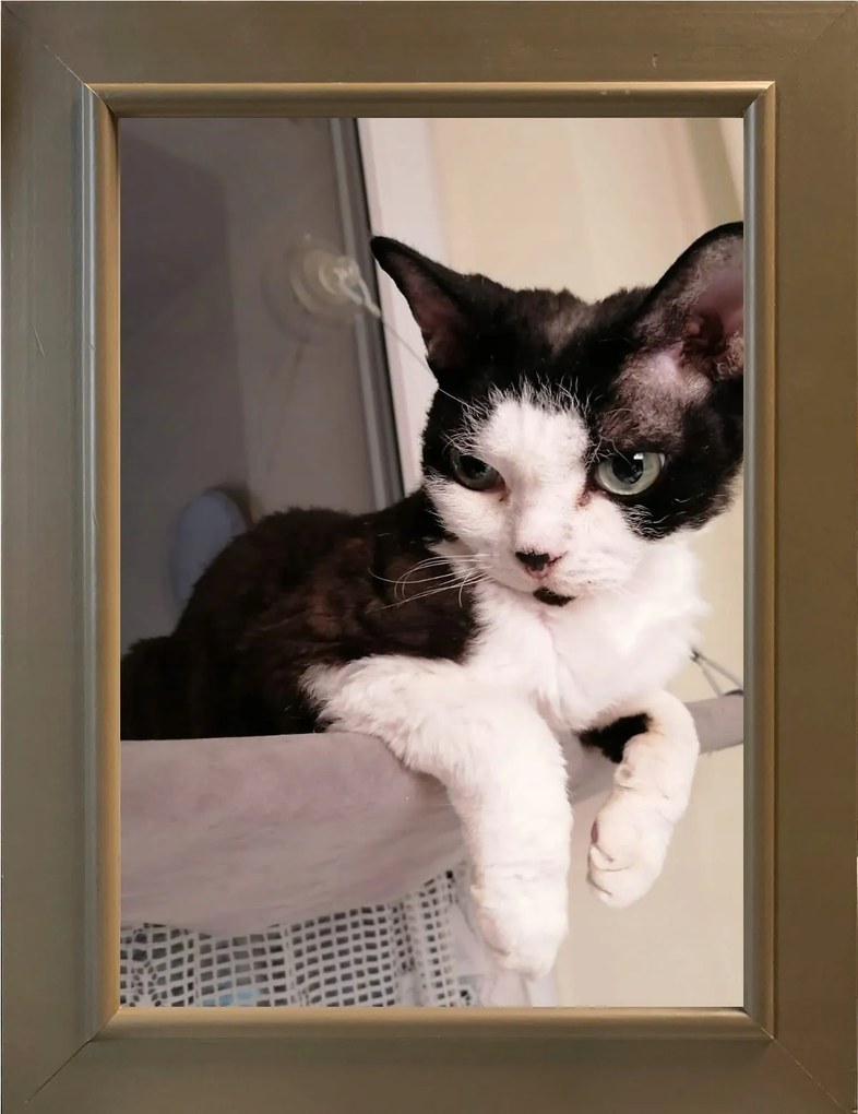 Klasszikus fa képkeret, álló és függő, 21x30 cm