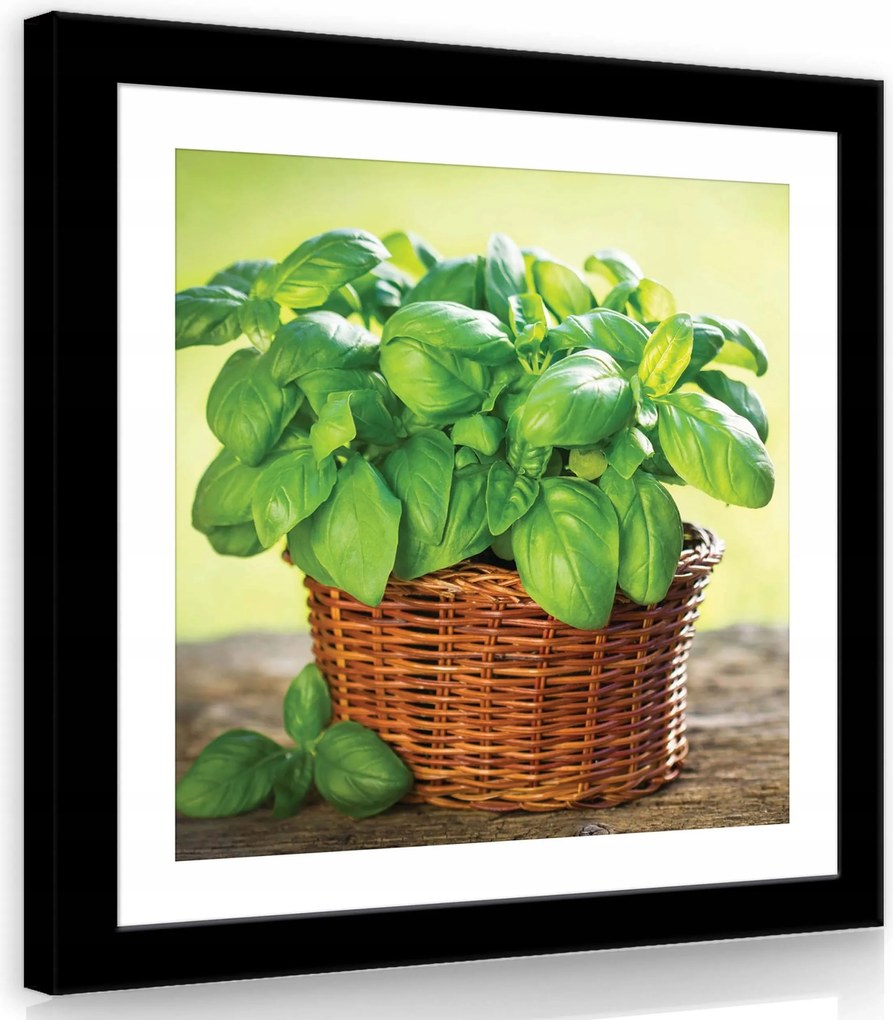 Vászonkép 80x80 Bazsalikom kosár zöld frissesség csendélet gyógynövények konyha nyár