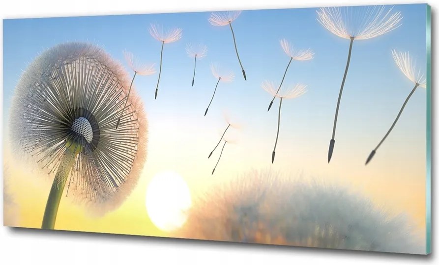 Fotótapéta falra edzett üveg Fokhagyma 125x50