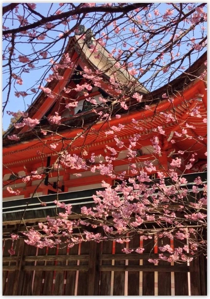 Poszterek 70x100 Japán templom