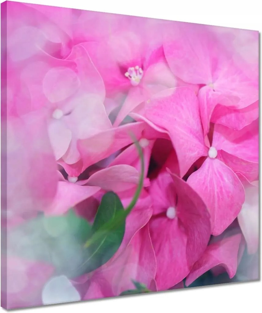 Vászonkép 40x40 Nőnap Ajándék Love