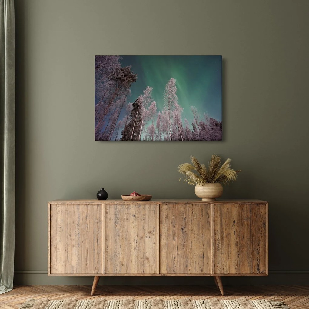 Az aurora borealis képe fagyos fák felett (90x60 cm)