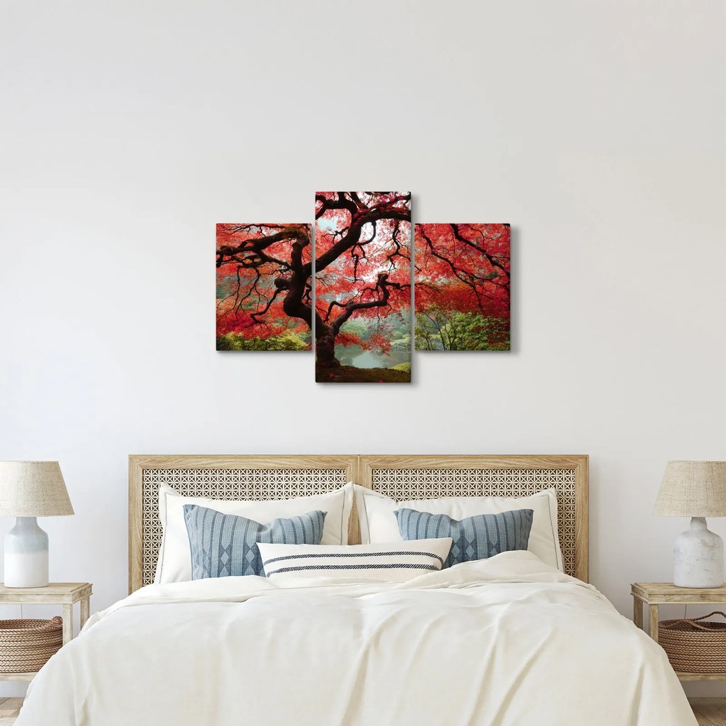 Red Japanese Maple, Portland, Oregon képe (90x60 cm)