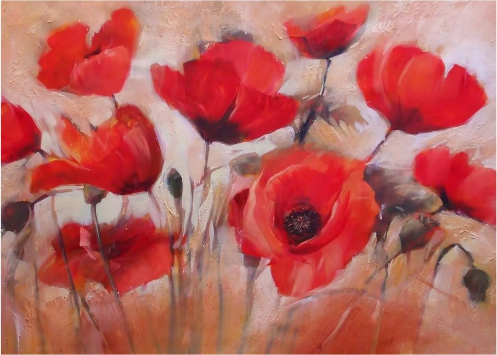 Kép - Farkas mák (70x50 cm)