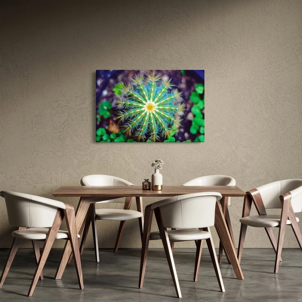 Kaktusz kép (90x60 cm)