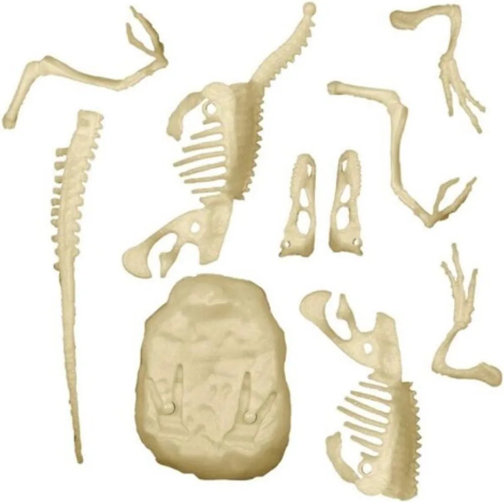 Világító velociraptor Archeo Fun régészeti készlet Clementoni