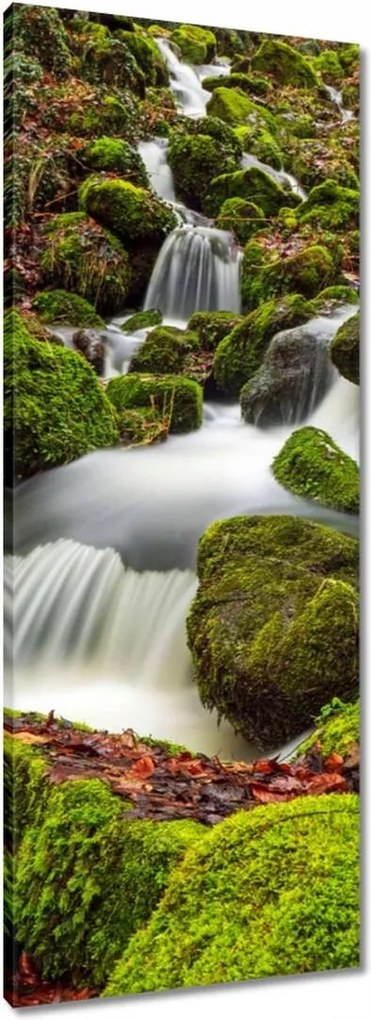 Vászonkép 40x100 Hegyi tájkép, patak