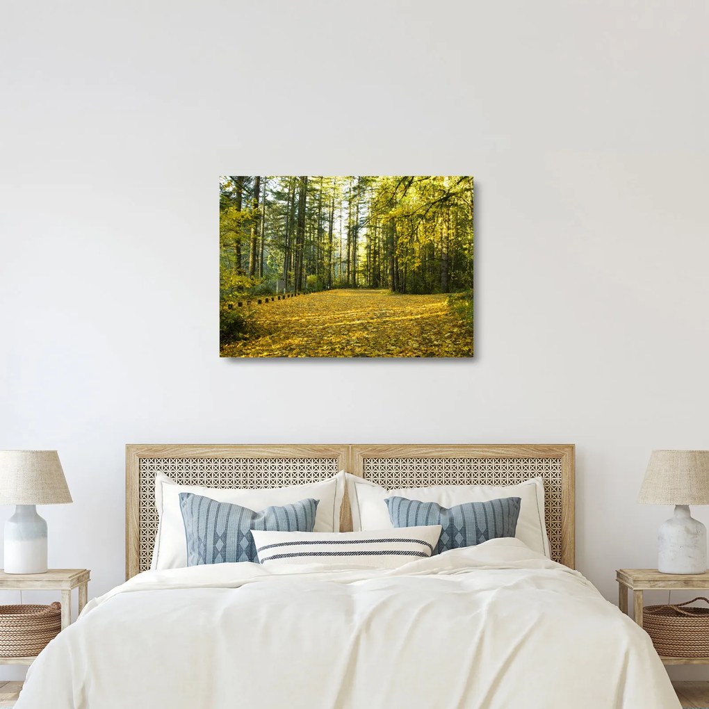 Kép - erdő ősszel (üvegen) (70x50 cm)