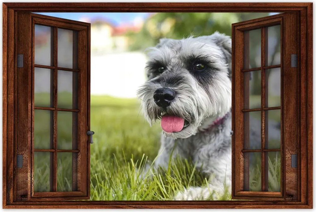 Poszter 60x40 Aranyos kutyus Kutya