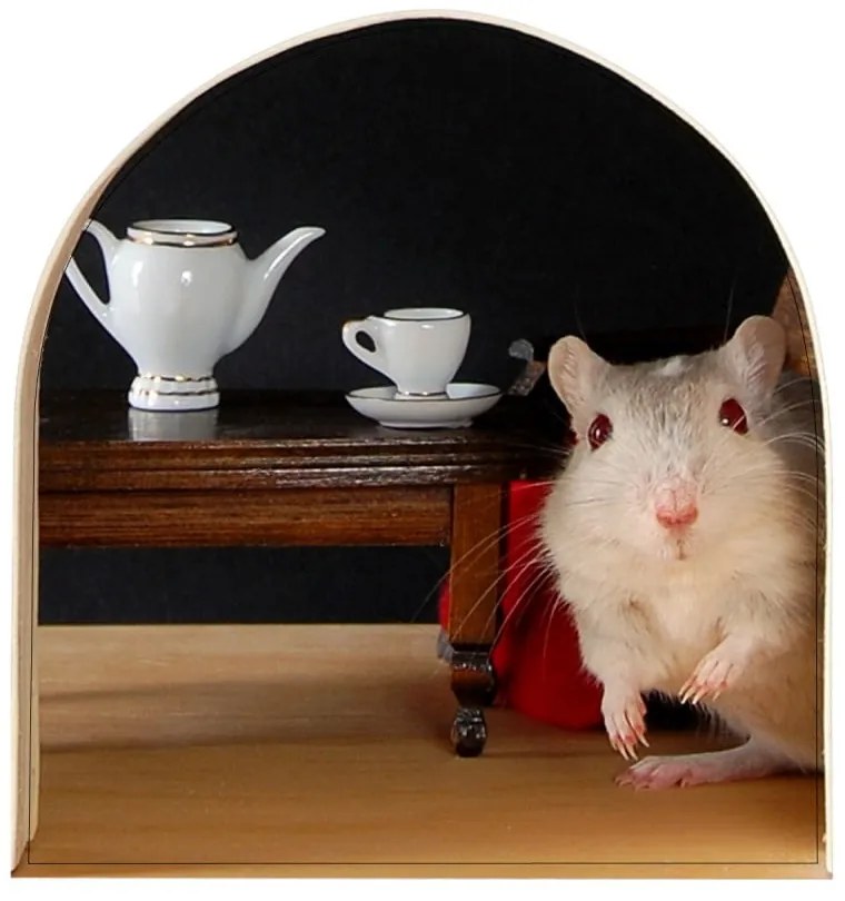 Mouse Hole falmatrica - Ambiance