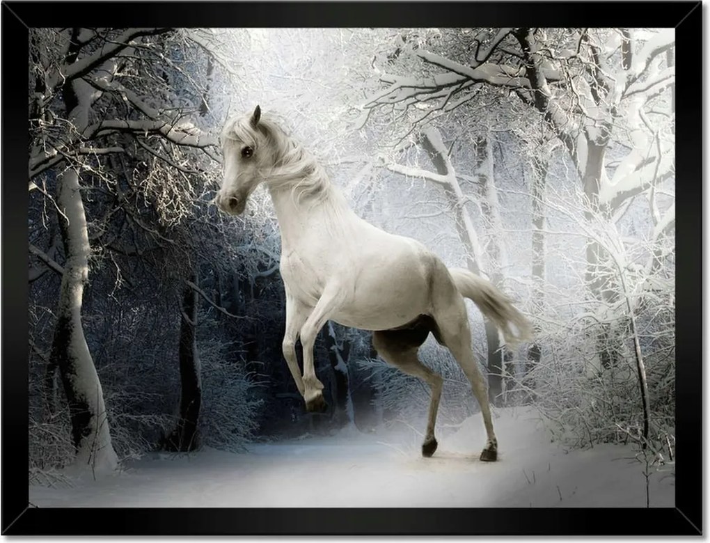 Poszterek keretben 40x30 Fehér paripa