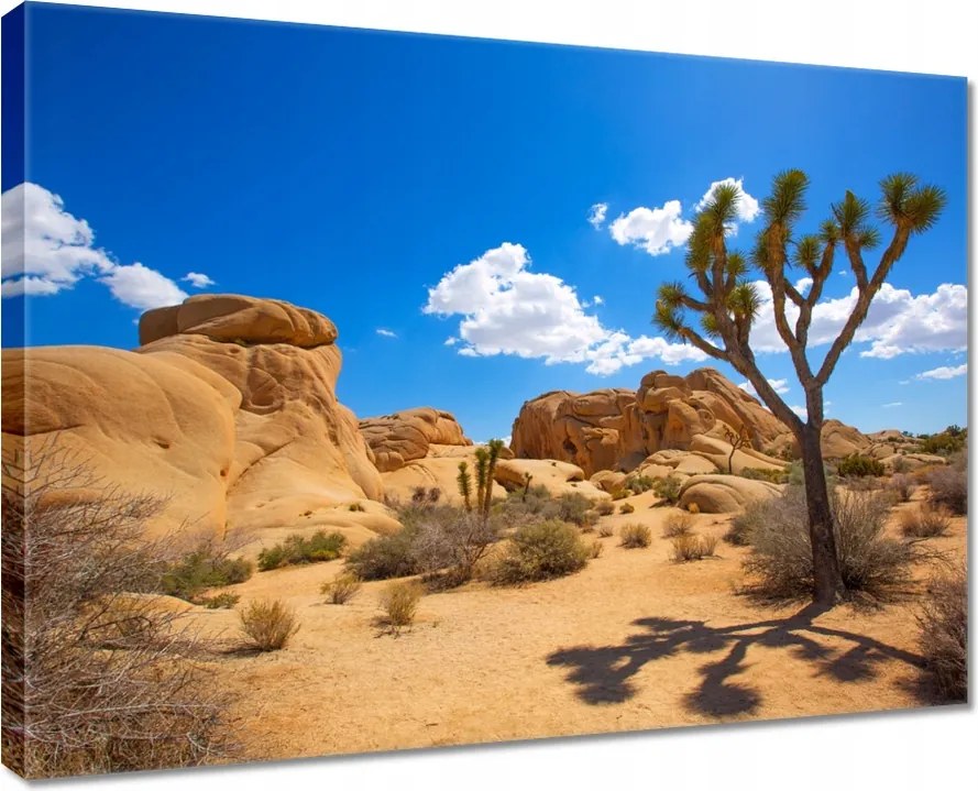 Vászonkép 80x60 Sivatagi táj