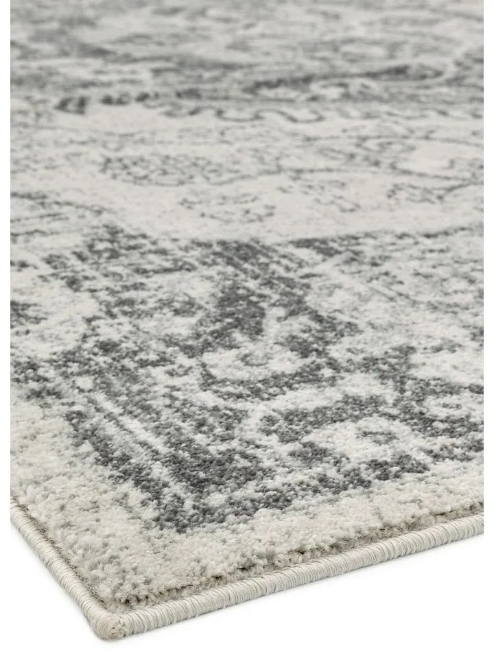 Szürke-krémszínű szőnyeg 200x290 cm Nova – Asiatic Carpets