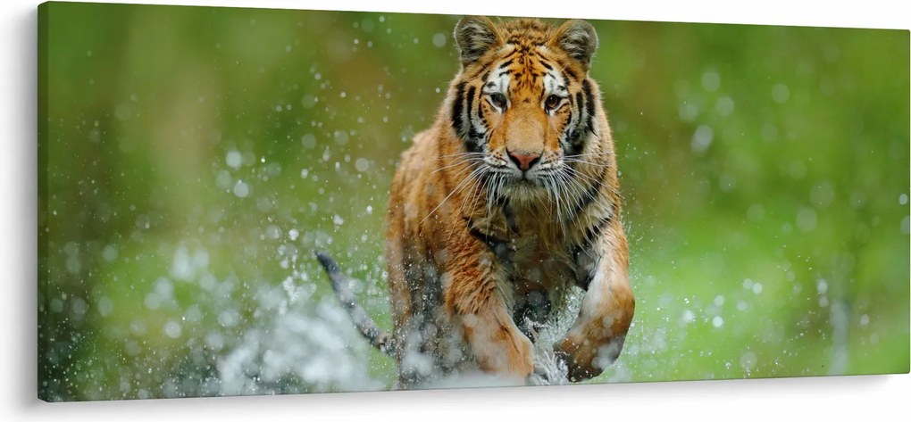 Kép - Futó tigris (120x50 cm)