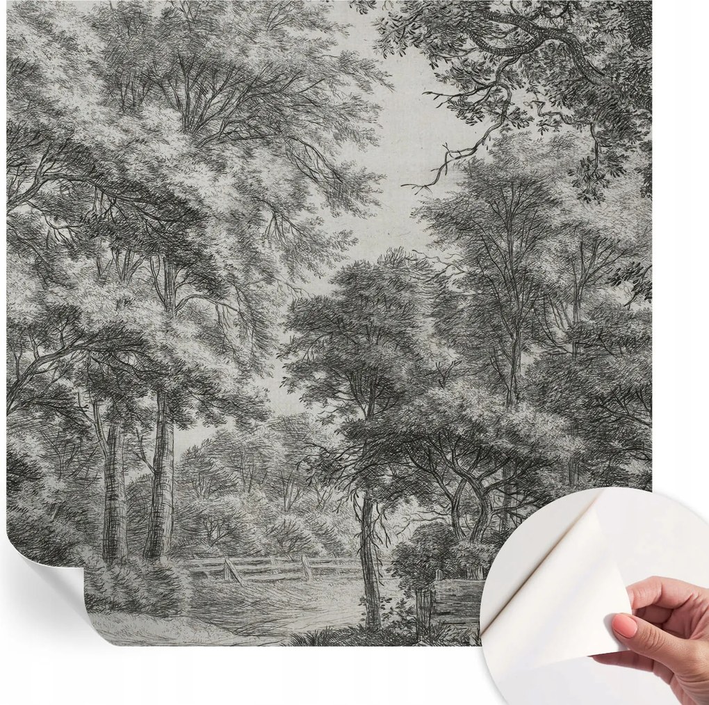 Fotótapéta Fali tapéta Hálószobába és Nappaliba Erdei táj 250x250 cm