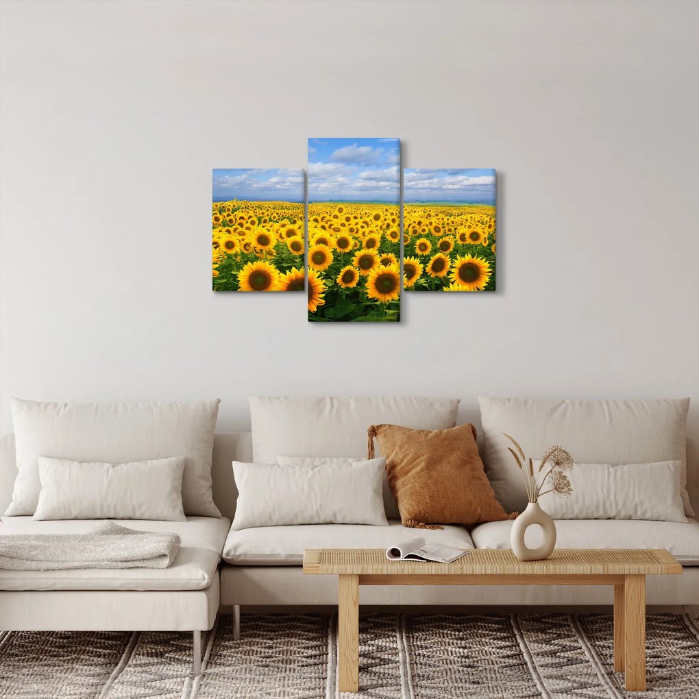 A napraforgó mező képe (90x60 cm)