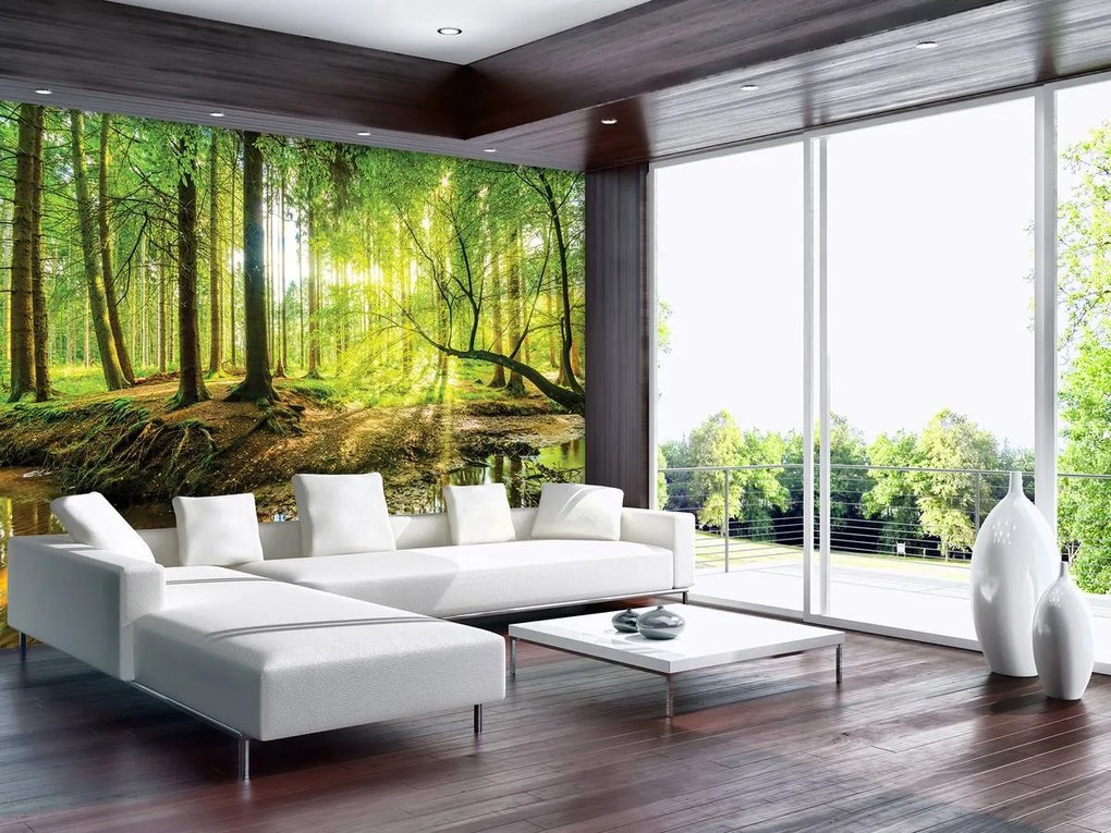 Fotótapéta - Napos erdő (152,5x104 cm)