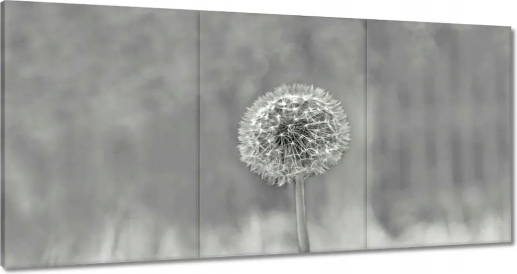 Vászonkép 180x90 Pitypang