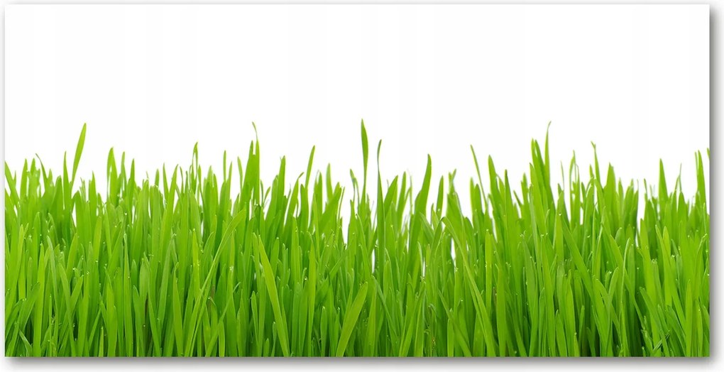 Fotó kép fotó edzett üveg Fű 140x70