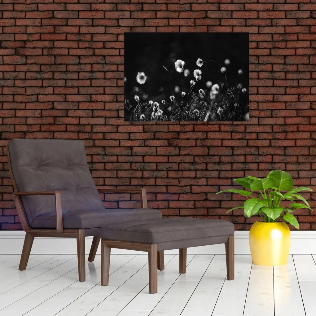 Üveg kép - Gyapotfűvel borított rét N⁰1 (70x50 cm)