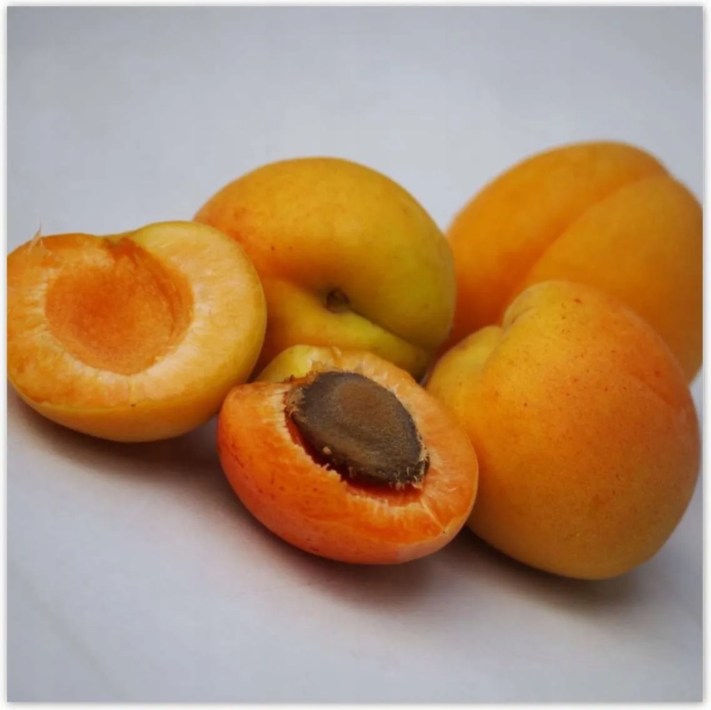 Poszterek 100x100 Sárgabarack Gyümölcsös élvezet