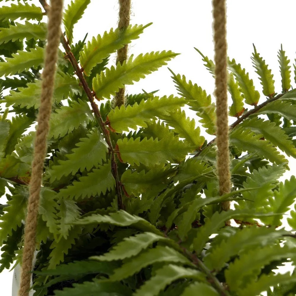 Műnövény (magasság 24 cm) – Casa Selección