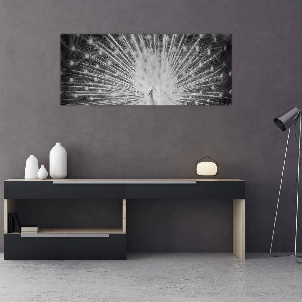 Kép - Fehér páva (120x50 cm)