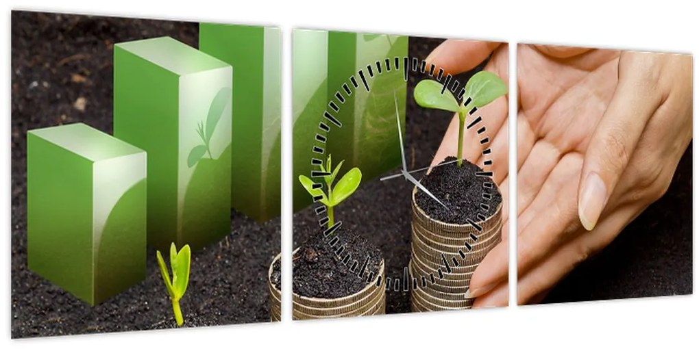 Kép - Növekedés (órával) (90x30 cm)