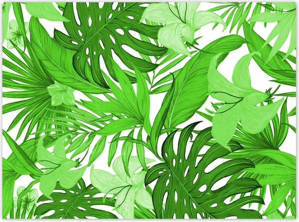 Poszterek 135x100 Leaves Monstera New look